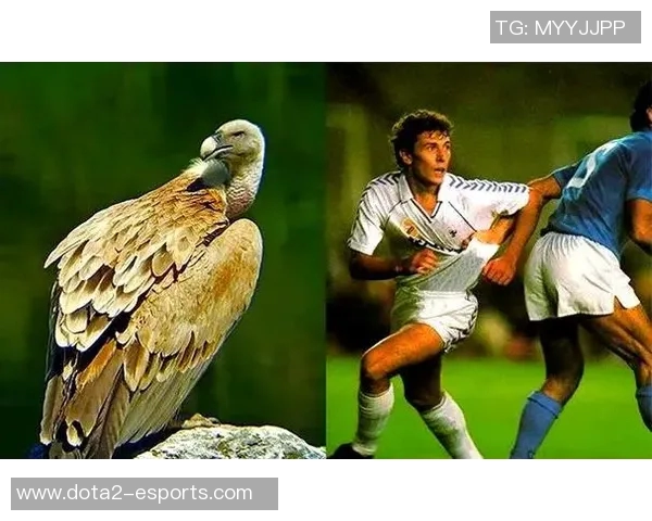 球星绰号背后的故事与传奇 解密足球场上的独特称谓 球星绰号背后的故事与传奇 解密足球场上的独特称谓